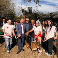 A Sarno un posto sicuro per cani abbandonati e maltrattati: inaugurato il nuovo rifugio comunale 