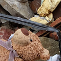 Amatrice e il Centro Italia, ferite ancora aperte: i geologi chiedono prevenzione e ricostruzione