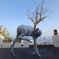 "Arte Diffusa" a Capri: esposizione di opere di artisti contemporanei tra la Piazzetta e il Belvedere di Tragara