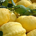 Cetara celebra il suo “Oro Giallo”: una serata tra cultura, limoni e tradizione