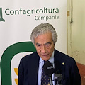Confagricoltura Campania a Vinitaly 2025: 7 aprile convegno sul trend del vino regionale
