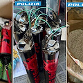 Fabbricava e spediva ordigni pirotecnici in tutti Italia, arrestato 33enne a Napoli