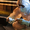Ferrara, avvolge il cadavere della madre nel cellophane e lo nasconde per incassare la pensione