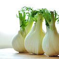 Finocchio, l’ortaggio che depura e favorisce la digestione