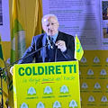 "Giovani, eccellenza e qualità": ecco la ricetta di De Luca per l'agricoltura delle aree interne della Campania