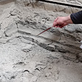 Il cold case del Parco Archeologico di Ercolano, nuove scoperte nella Stanza del custode del Collegio degli Augustali