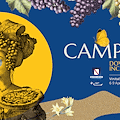La Campania del vino porta a Vinitaly: eccellenze della regione tra masterclass internazionali, iniziative e degustazioni