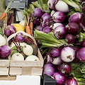 La cipolla, l’ortaggio dal gusto deciso che fa bene al cuore e ai reni