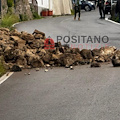 Maltempo in Costiera Amalfitana: crollata macera ad Amalfi 