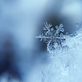 Meteo annuncia clima mite nei "giorni della merla" /LA LEGGENDA