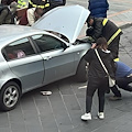 Miagolii dal cofano, automobilista scopre due gattini vivi: salvati a Maiori 