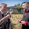 Nasce un'azienda vitivinicola nel Parco Archeologico di Pompei