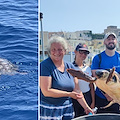 Nuotava con difficoltà al largo di Forio, tartaruga Caretta caretta salvata da alcuni diportisti 