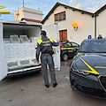 Palermo, maxi sequestro di 2 tonnellate di novellame di sarda: sanzioni fino a 75mila euro