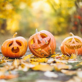 Piano di Sorrento, ad ottobre torna il "Villaggio d’Autunno - Fuori di Zucca" / PROGRAMMA 