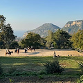 Piano di Sorrento, domani l'inaugurazione della nuova gestione del fondo di Via Artemano