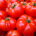 Pomo Fest: a Nocera Inferiore si celebra il pomodoro San Marzano con Porzio, Sorbillo, Poppella e tanti altri