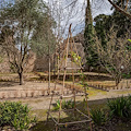 Pompei, aperta la "Casa dell'Orto Botanico": un nuovo tassello verde all'interno dell'area archeologica 