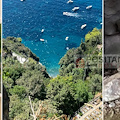 Positano, ritrovato Achille, il cane di Andrea e Iuliia: era scomparso a Liparlati