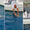 Praiano, salvata una rarissima tartaruga marina Kemp: ora è al Turtle Point di Napoli