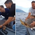 Salvate e curate, ora tre tartarughe tornano in libertà nel mare dell'Area Marina Protetta di Punta Campanella