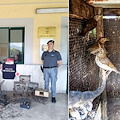 Sequestrato a Pompei impianto con 9 gabbie-trappola e 24 uccelli protetti in condizioni terribili 