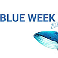 Torna la Blue Week: una settimana di mare, cultura e volontariato attivo in Penisola Sorrentina