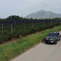 Truffa ai fondi UE per l’agricoltura: 12 arresti e sequestri per oltre 9,6 milioni tra Caserta e Salerno