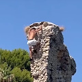 Tuffi pericolosi a Marechiaro, Borrelli contro l’abbattimento dell’arco romano per fermare i ragazzi 