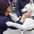 Vietri sul Mare, successo per la prima edizione del "Dog Day - Amori a 4 zampe" 