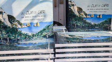Ad Anacapri la presentazione de "Gli olivi di Capri”, un libro sulla storia di agricoltura eroica