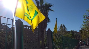 Al via "Salerno in Flora 2025": natura, sostenibilità e inclusione nel cuore della città