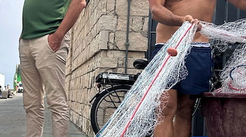 Cambiano i criteri di pesca dalla Costa d'Amalfi all'area Vesuviana: reti ecocompatibili per tutelare il novellame