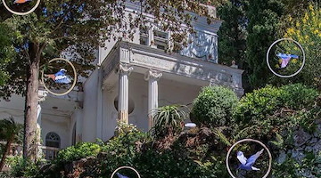 Capri, installazione site-specific con circa 200 uccelli sospesi a Villa Lysis 