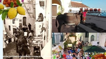 Dalla "Sagra della cicala" a quella delle "palle di ciuccio": ricca settimana di eventi per "Vietri Cultura 2025" 
