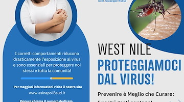 Disinfestazione straordinaria a Sorrento per prevenire il virus West Nile