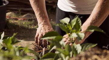 Emergenza caldo: stop al lavoro sotto il sole nelle ore più calde, ordinanza della Regione Campania
