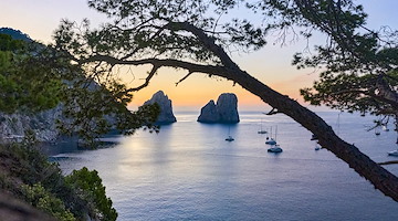 L’Associazione "Battiti di Pesca" insignita del Premio Campanile d’Oro per l'impegno sportivo e sociale sull'isola di Capri 