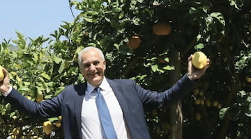 Limoneti di Amalfi patrimonio FAO, Caputo: “Un riconoscimento mondiale per l’agricoltura della Campania”