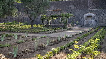 Pompei, torna a splendere il Giardino di Ercole dopo gli interventi di riqualificazione e di valorizzazione 