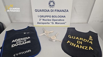 Specie protette: all'aeroporto di Bologna sequestrate due vertebre di delfino