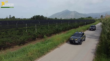 Truffa ai fondi UE per l’agricoltura: 12 arresti e sequestri per oltre 9,6 milioni tra Caserta e Salerno