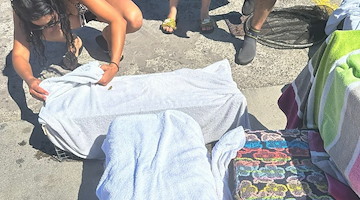Vico Equense: Amp Punta Campanella, ENPA e volontari uniti per mettere in sicurezza i gatti della colonia felina di Tordigliano