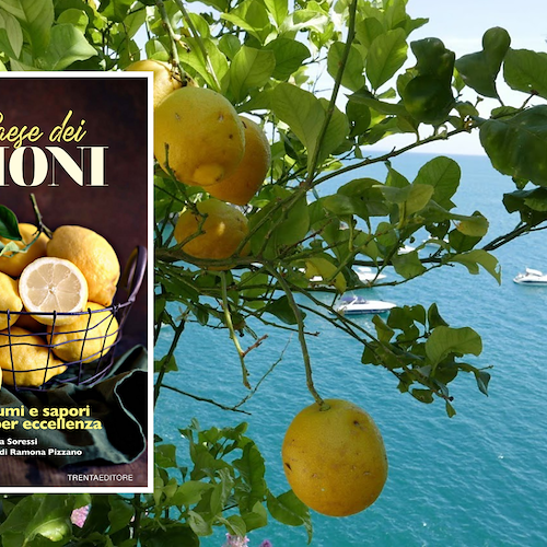 A Maiori si presenta il libro “Il Paese dei limoni”, che valorizza anche l'oro giallo della Costa d'Amalfi