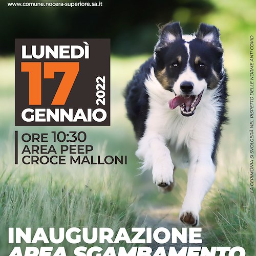 A Nocera Superiore un'area sgambamento cani: sarà intitolata al cane eroe Balto 