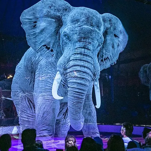 A San Giorgio a Cremano arriva il "Circus Atmosfhere", il primo circo con animali olografici 