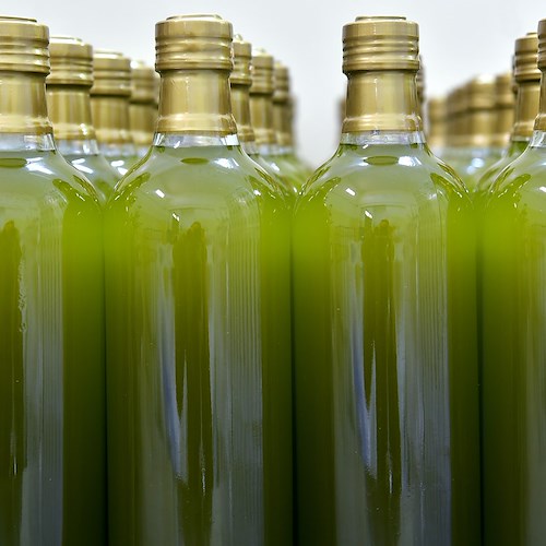 A Sorrento raccolta di olio esausto in cambio di extravergine di oliva: ecco quando 