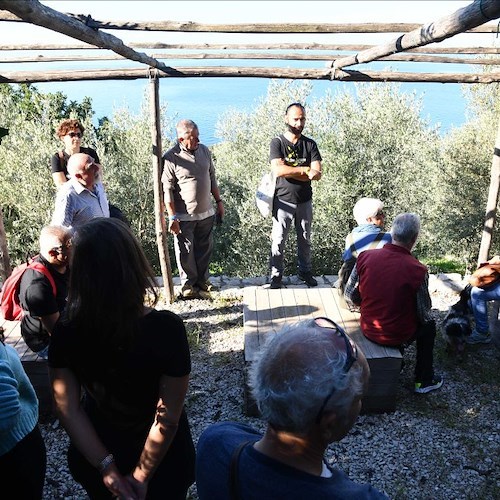 A Trieste torna "Olio Capitale", "L’Oro di Capri" in prima linea per salvaguardia dell’olio evo e del paesaggio