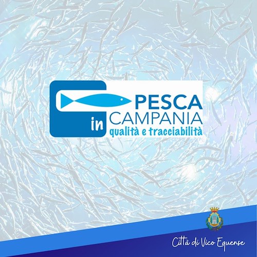 Pesca in Campania <br />&copy; Città di Vico Equense