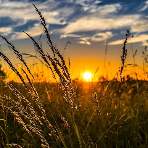 Agricoltura, dal ministero fondo di tutela per oltre 5000 prodotti agroalimentari tradizionali